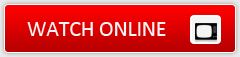 Watch Kill Bill: Vol. 2 Movie Online Free in HD